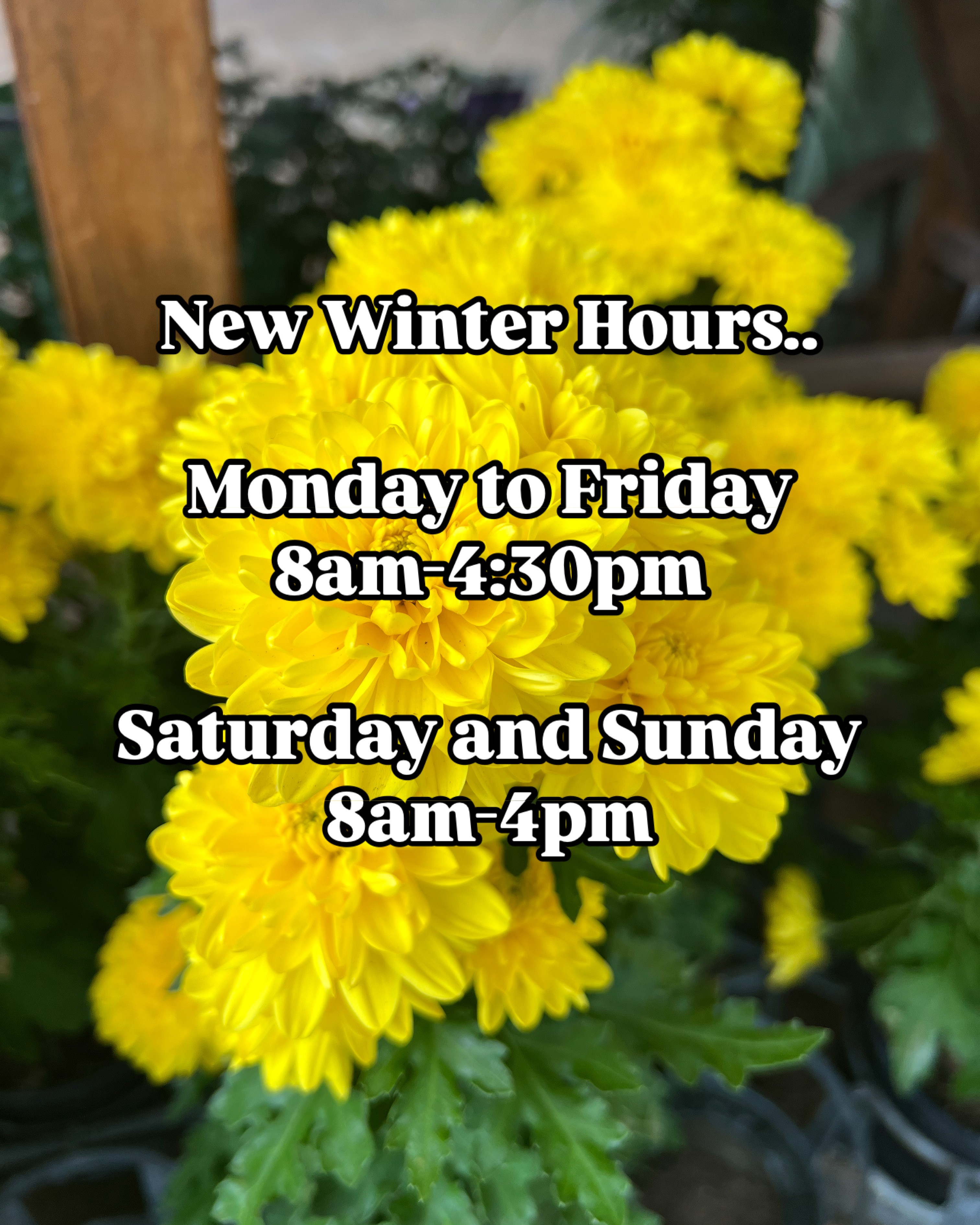 New Winter Hours