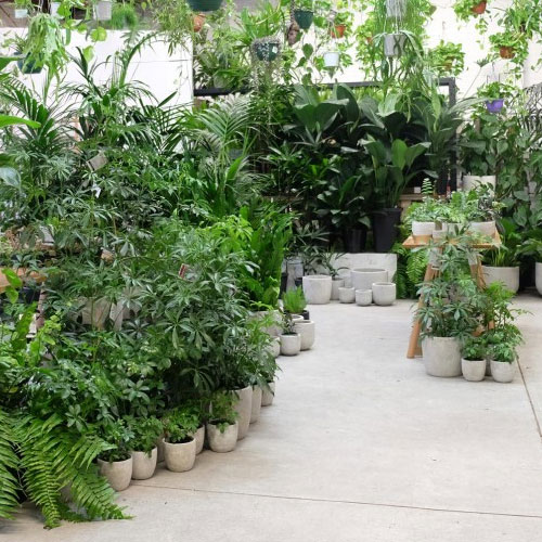 Theo S Garden Centre Home In The Nursery