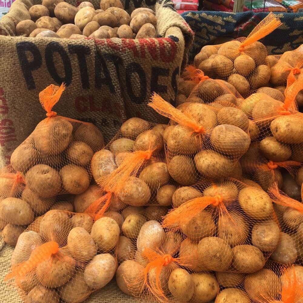 Seed Potatoes