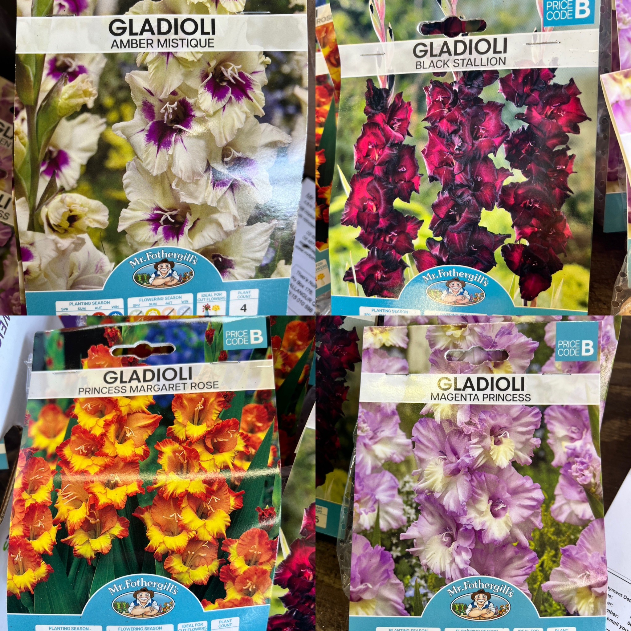 Spring and Summer bulbs are in!
